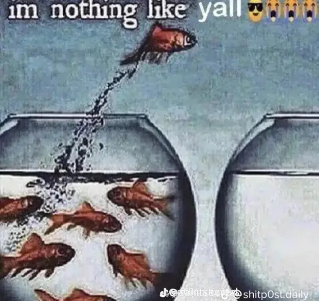 Im nothing like yall
